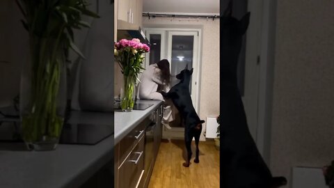 O que dizer de uma cena como essa?