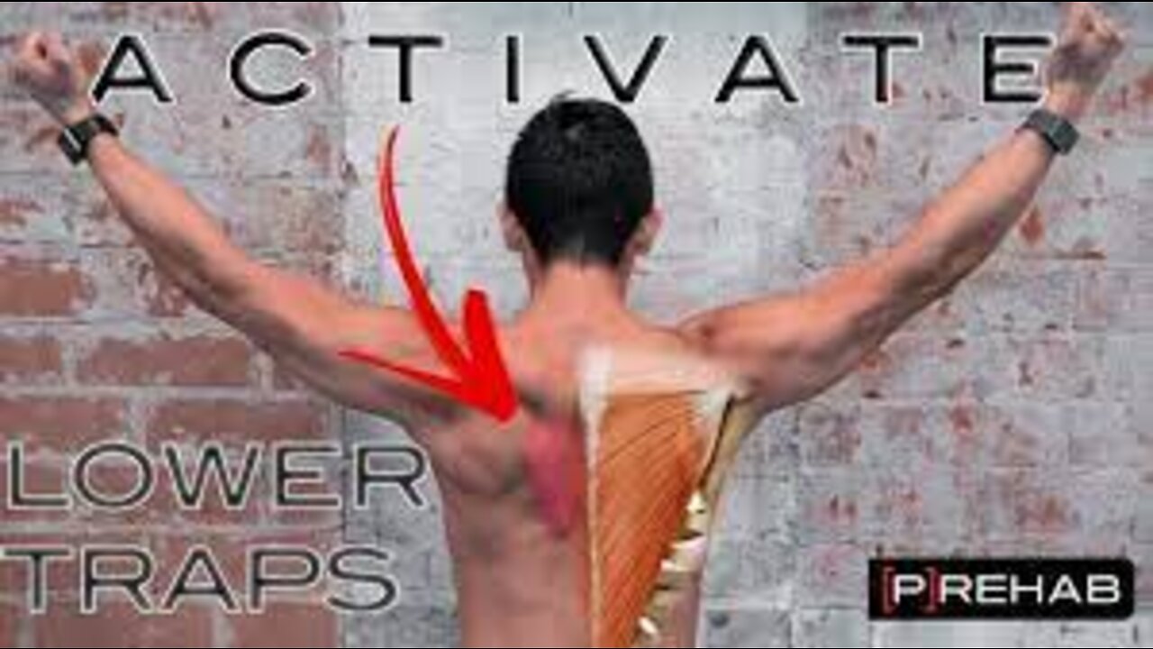 3 exercises to activate your Lower Traps - Tim Keeley - Physio REHAB