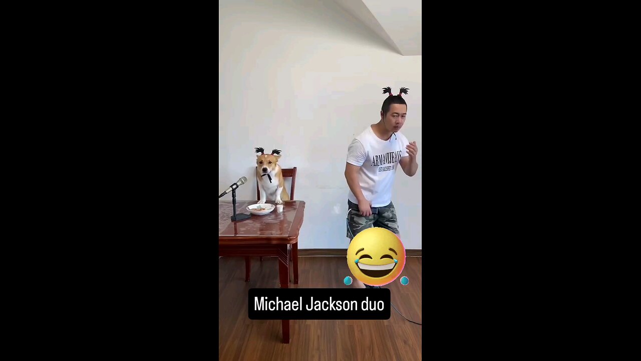 funny animals