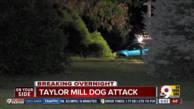 Police officer shoots, kills dog to stop attack