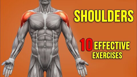 Shoulders Workout: 10 Effective Exercises For 360° |