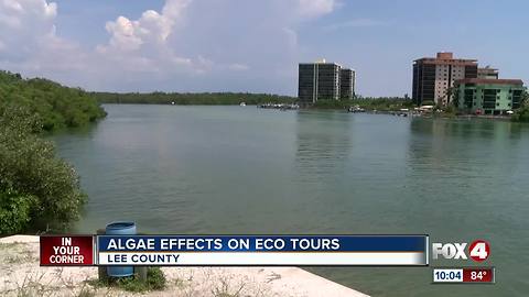 Eco Tour operators encourage people to visit