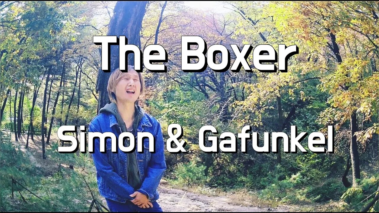 #simonandgarfunkel #sing#singer Simon & Garfunkel The Boxer (cover)