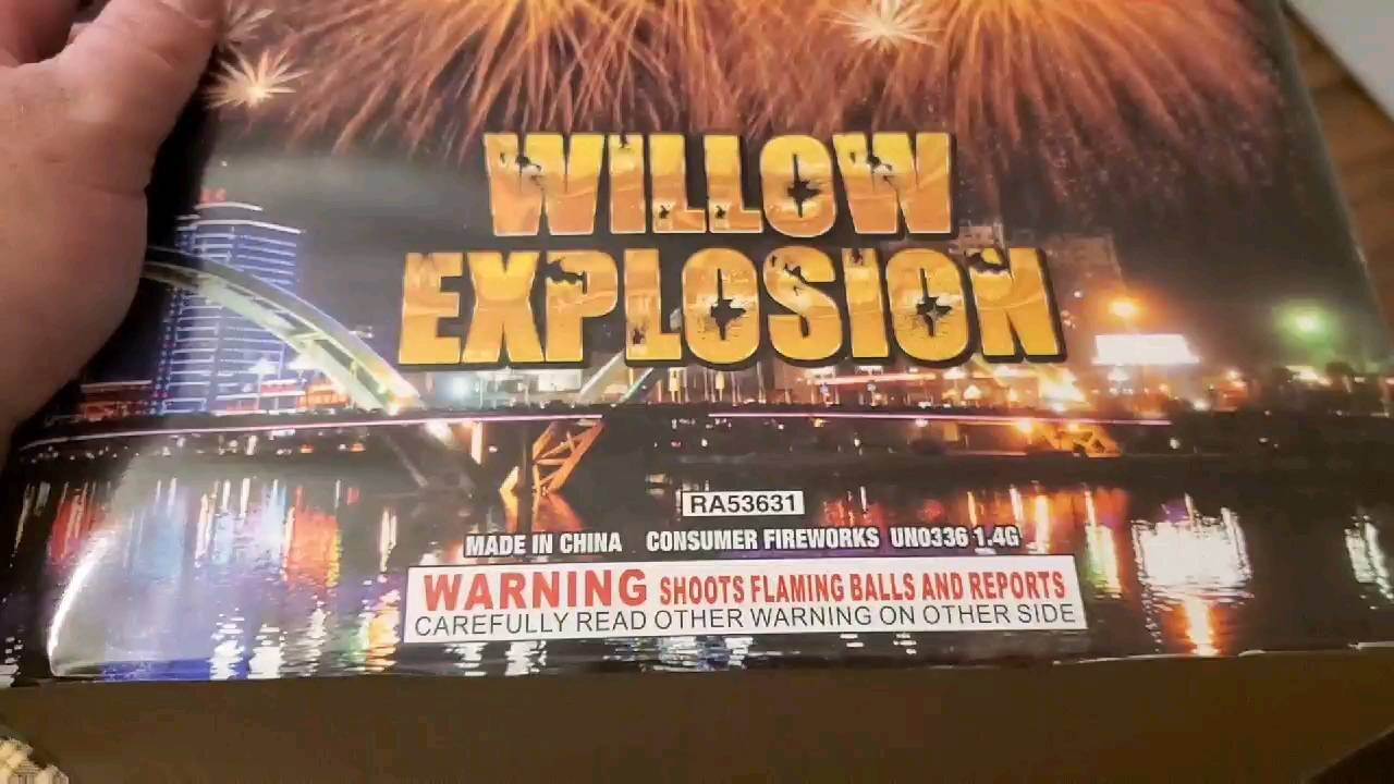 Willow Explosion (Raccoon Fireworks)