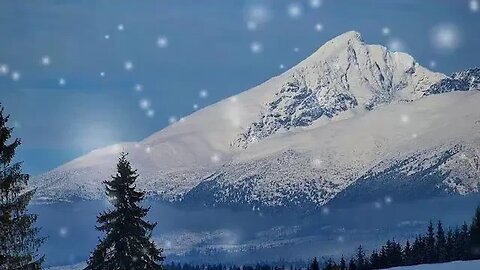 Winter Wonderland Embracing the Magic of Snow