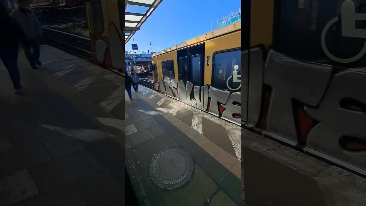 OUTRAGEOUS GRAFFITI PIECES ON A TRAIN 😱 #graffiti #graffitiart #shorts