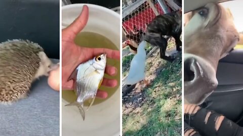Funny Moments Of The Year Compilation #03