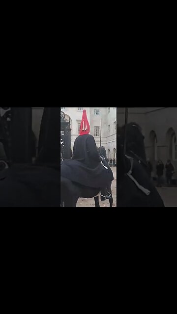 Horse farts changing of the Guards #horseguardsparade