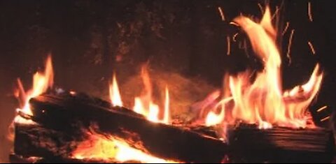 The Best Fireplace Video (3 hours)