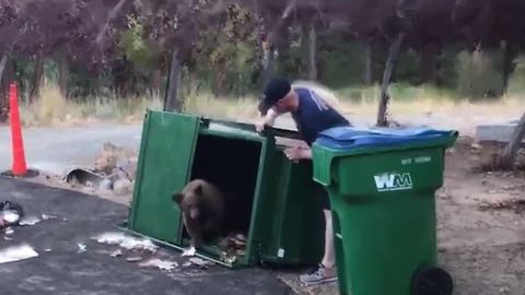 Three bear cubs rescued by Nevada firefighters