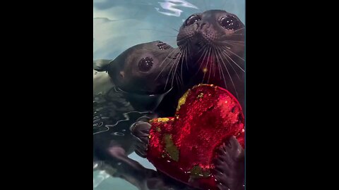 Me and Bae this valentines day ♥️