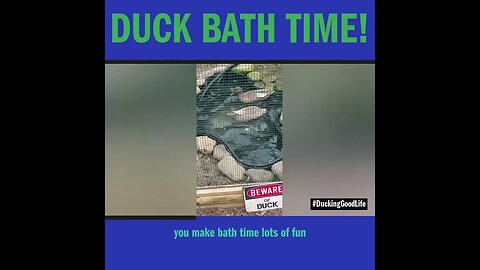 Duck Bath Time!