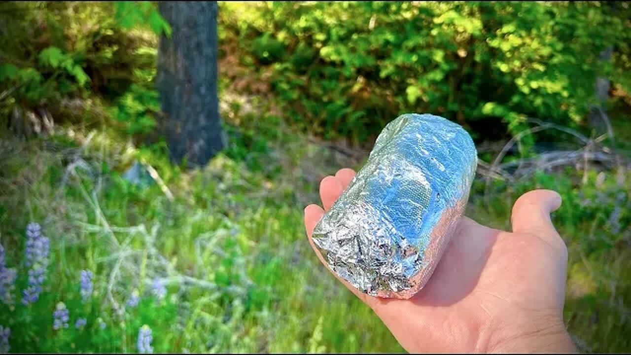 VLOG 668: a burrito in the woods!