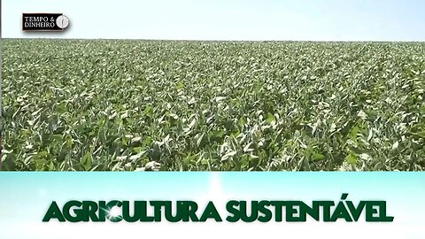Agricultura Sustentável - com Frederico Olivi