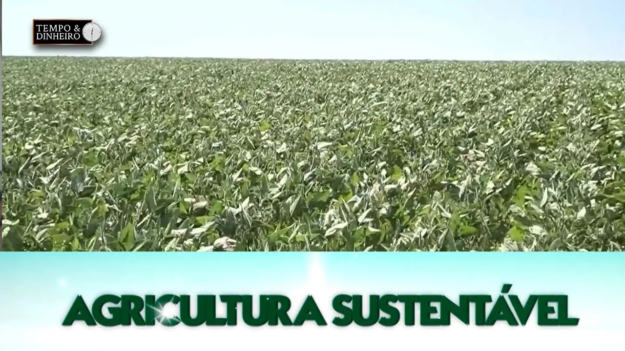 Agricultura Sustentável - com Frederico Olivi