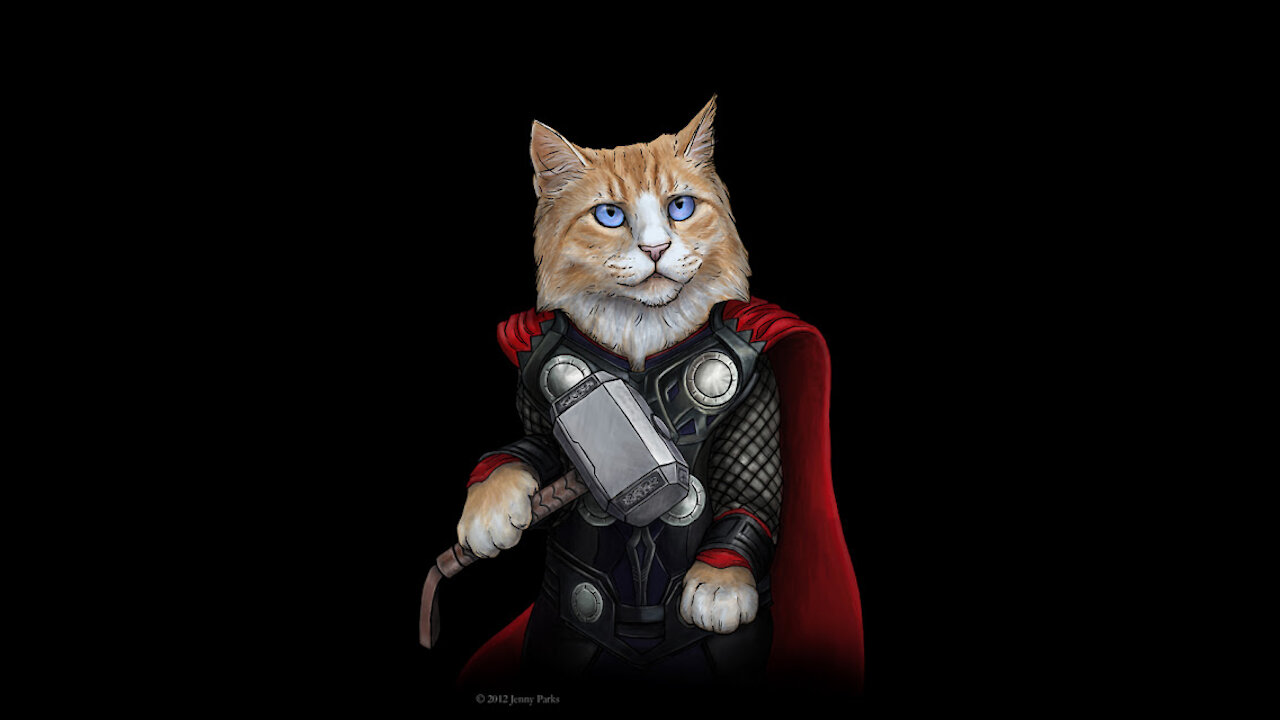Supercat kicks in and saves a puppy! AMAZING !!