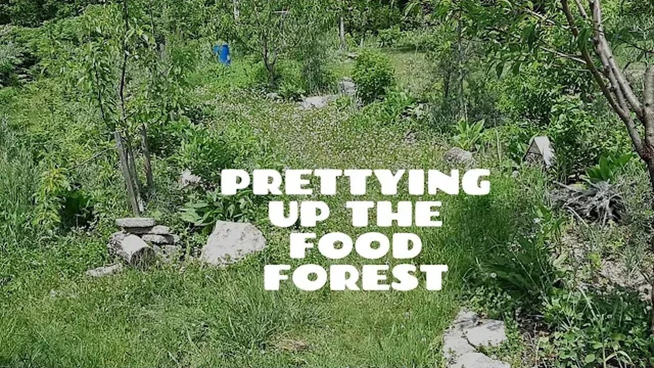 An edge can make all the difference