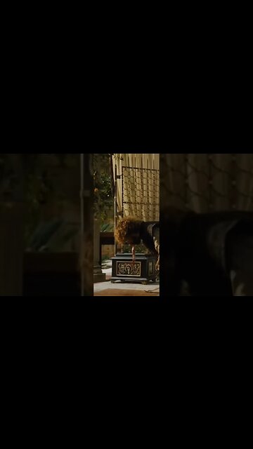 Socialists Gonna Socialist