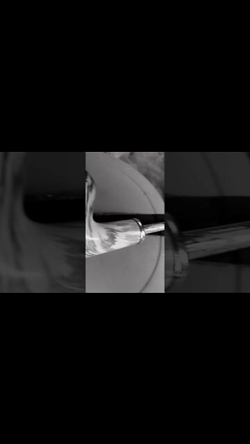 caught a 🐅 🐯 👩 👰‍♂ 🤵‍♀ 👨‍👩‍👦‍👦