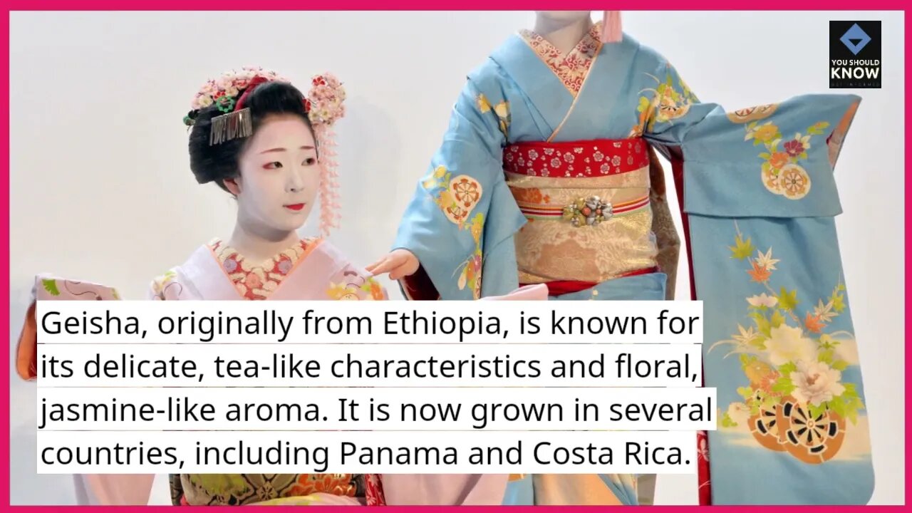 Top 10 Coffee Varieties to Try