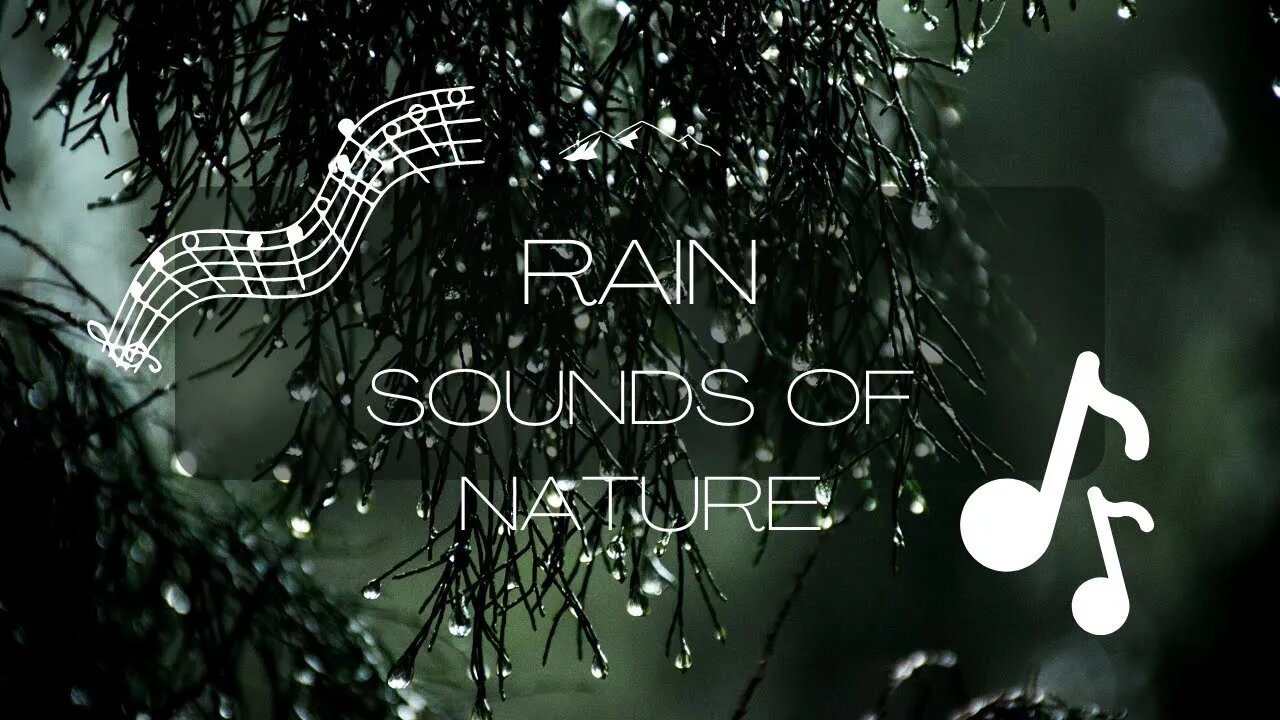 Rain sound with Thunder 60minutes Good for Relaxing, Sleeping, Studying and Concentration