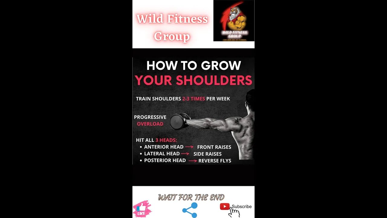 🔥How to grow your shoulders🔥#shorts🔥#viralshorts🔥#fitnessshorts🔥#wildfitnessgroup🔥