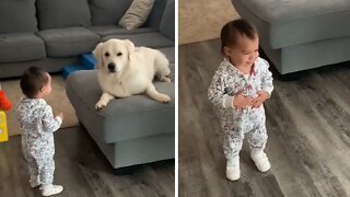 Sweet doggy preciously entertains happy baby