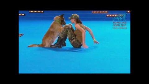 FCI Dog dance World Championship 2016| Freestyle final| Lusy Imbergerova and Deril (Italy)