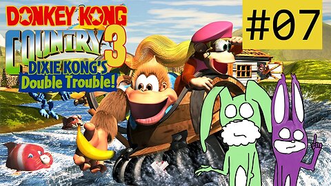 DAS WAR MUCHO CRINGE | Donkey Kong Country 3 mit RED & GREEN #07