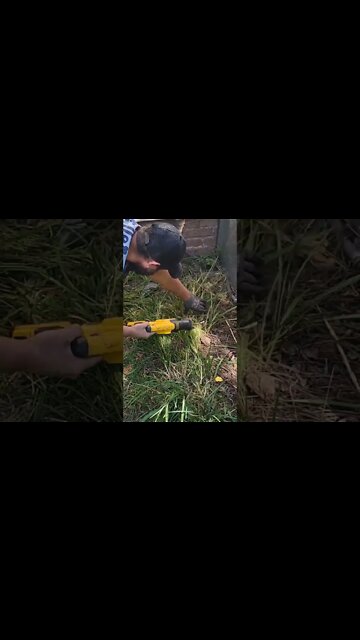 The Perfect WeedEater @DEWALT TV #mybloopers