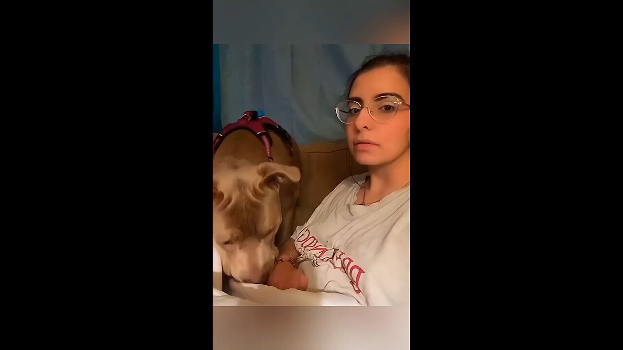 bark at your dog