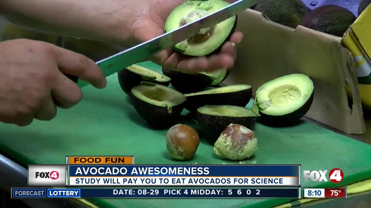 Paid green to eat green: Colleges paying students to eat avocados for study