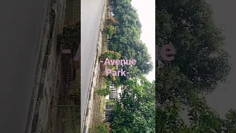 Avenue Park