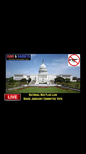 Watch the House Judiciary Committee Vote on the National Red Flag Bill HR2377