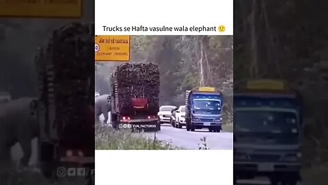 ट्रक से हफ्ता वसूलने वाला Elephant 😂❤️। #viral #youtube