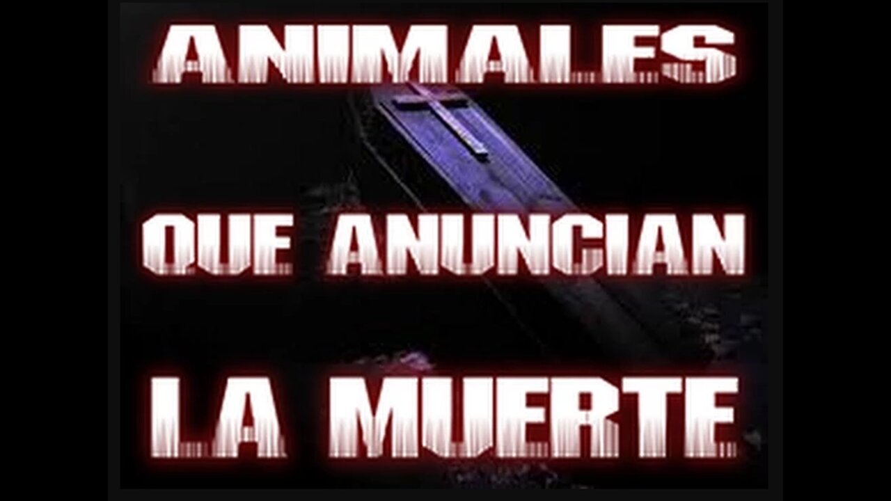 Los animales que anuncian la muerte