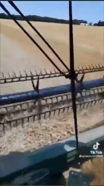 Farmers told to destroy crops really