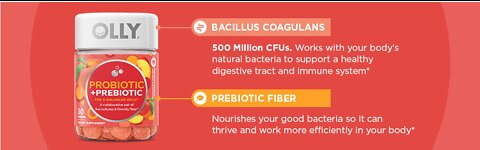 How can I fix my digestive system fast