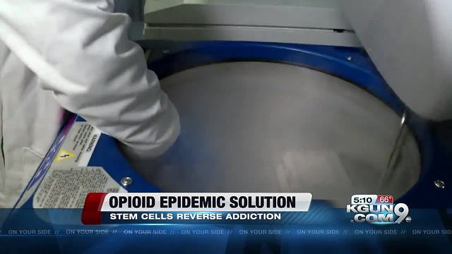 Stem cell research could help in opioid crisis