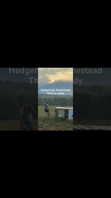 The turkeys are almost ready