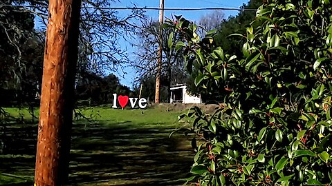 Promoting Rumble.com