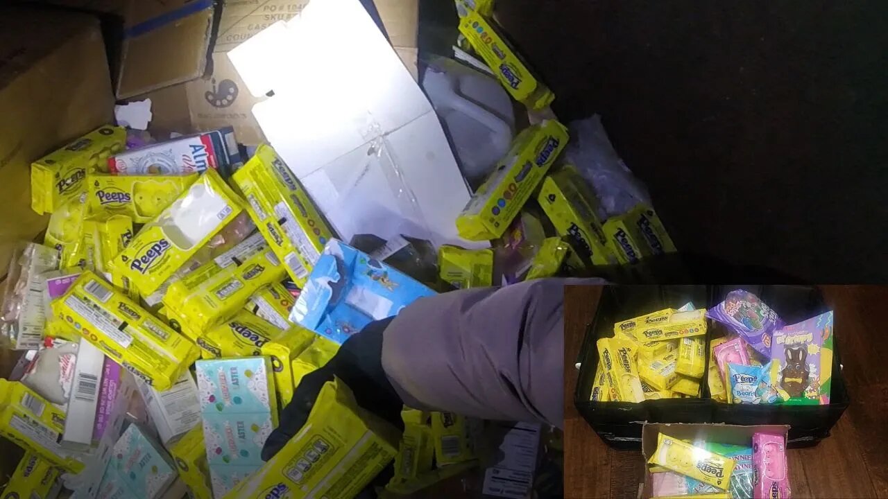 HUGE PEEPS SCORE DUMPSTER DIVING AT DOLLAR TREE!!!