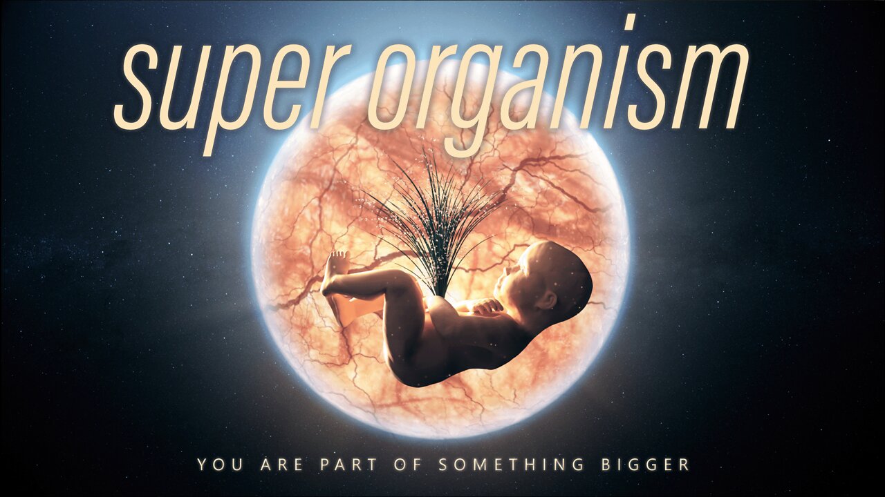 SUPER ORGANISM | Series Trailer