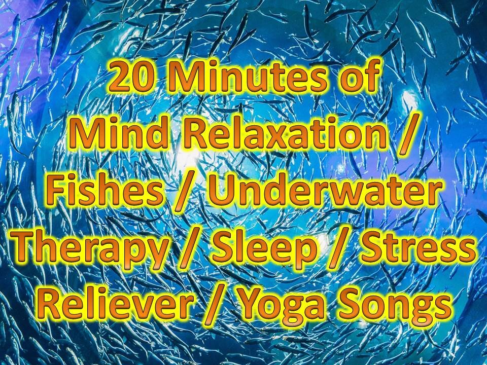 Guaranteed Relax in 20 Minutes of Mind Relaxation / Fishes / Sleep / Stress Reliever / Yoga