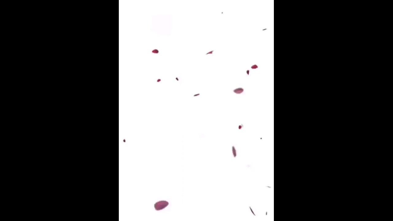 radhe krishna 🙏🙏🙏