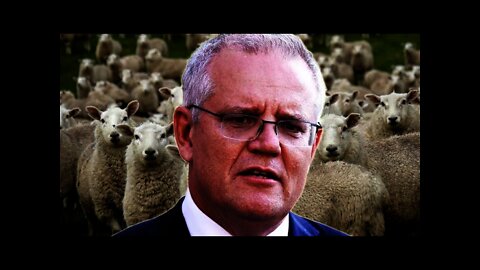 Aussie PM Compares Vaccinated to Sheep