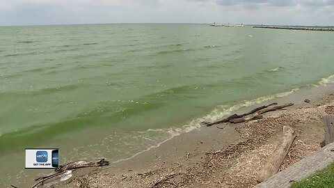 Blue-green algae blooming on Lake Winnebago