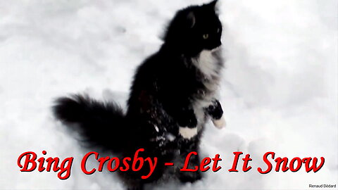 BING CROSBY - LET IT SNOW