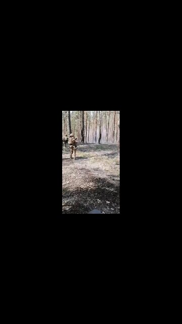 Russian special forces are combing the forest south of Krasny Liman