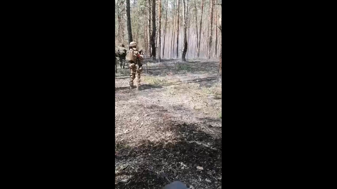 Russian special forces are combing the forest south of Krasny Liman